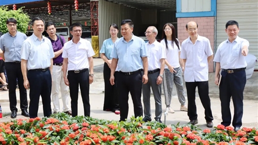 自治區(qū)政協(xié)常委、梧州市政協(xié)主席黃振饒蒞臨百裕集團走訪調(diào)研